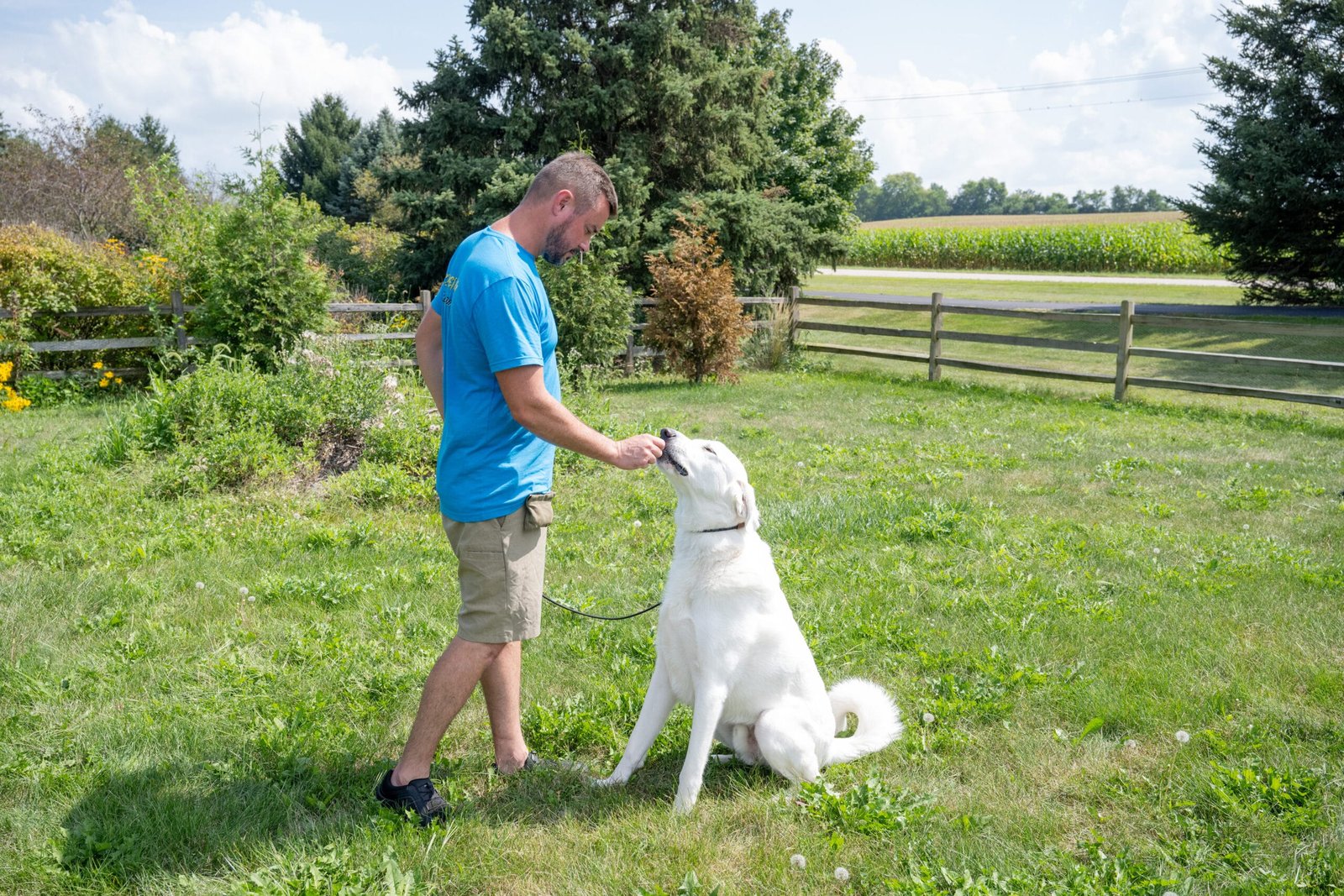 Our Methodology - Training That Lasts Dog Training Owner Coaching During A Training That Lasts Session