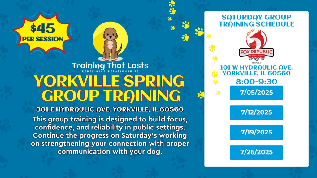 2 2 Wednesday Group Pack Walk | Oswego, Il | July 9Th, 2025