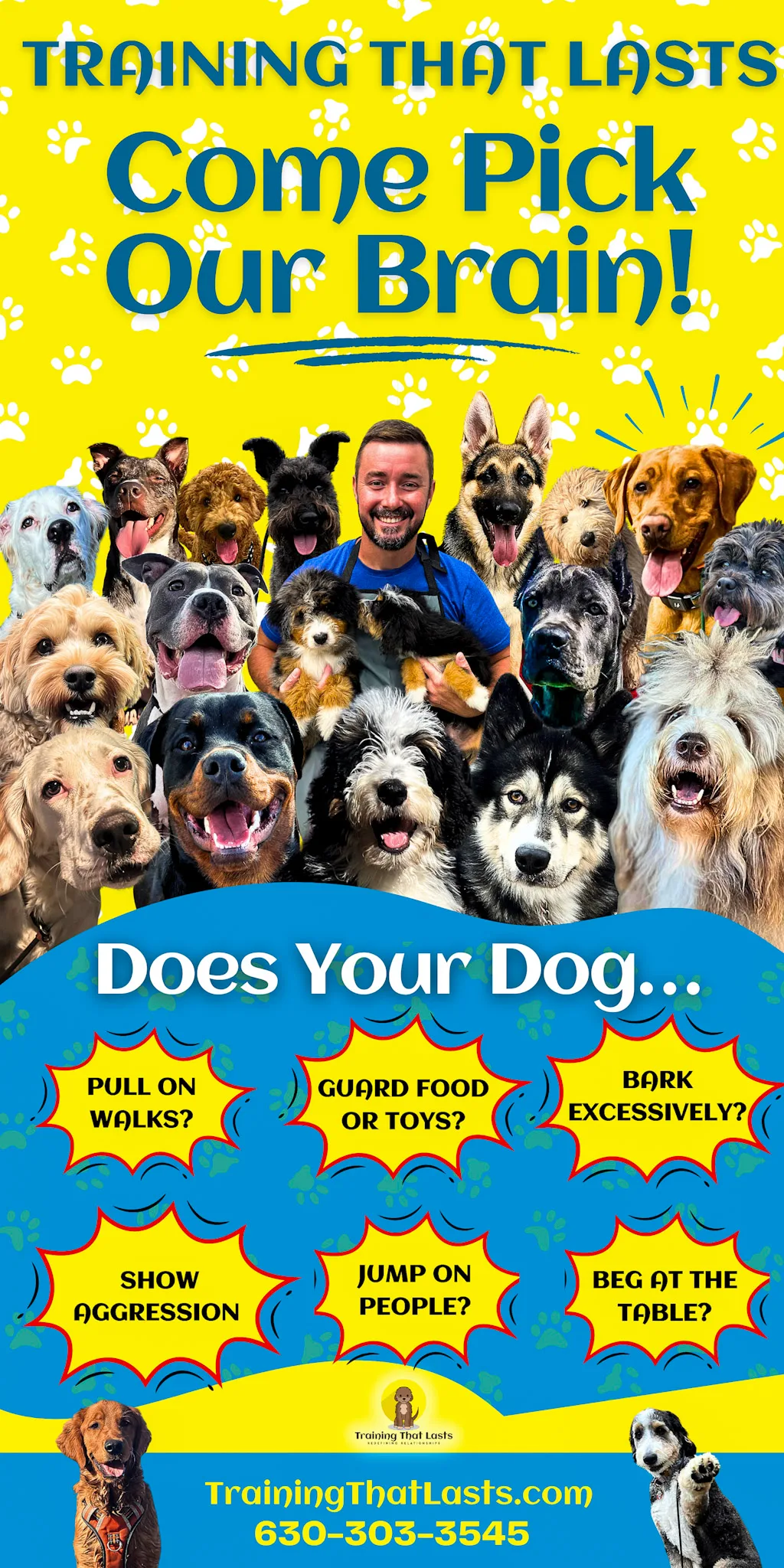 8 To 16 Week Old Puppy Socialization | The Window That Shapes Your Dog | Professional Dog Training | Training That Lasts