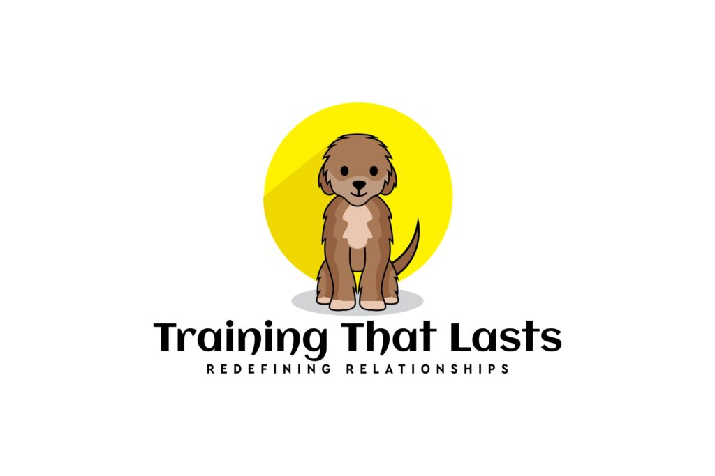 Dog-Training-Services-Board-and-Train-Behavior-Modification, Obedience-Training-Puppy-Training-In-Home-Training