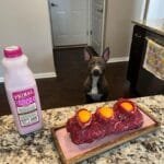 Why Raw Goats Milk Is Good For Dogs