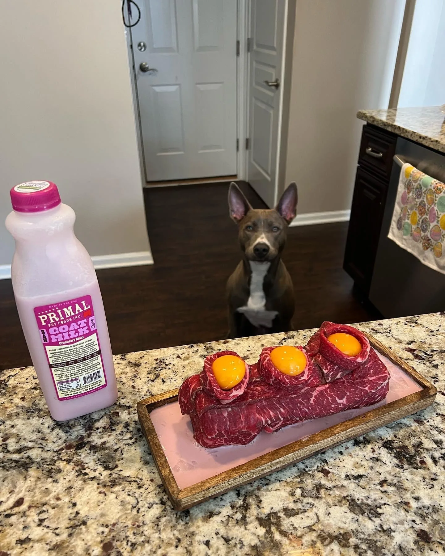 Why Raw Goats Milk Is Good For Dogs