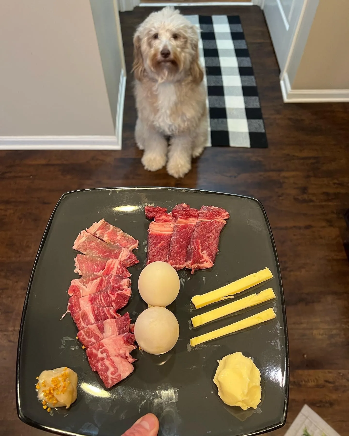 Why Is Raw Goats Milk Good For Dogs? | Professional Dog Training | Training That Lasts