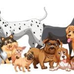 Foolproof-Dog-Training-Tips-That-Actually-Work-Consistent-dog-training-that-lasts