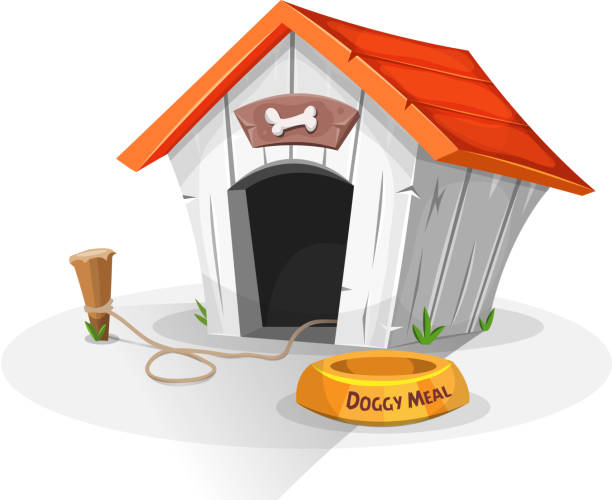 In-Home-Dog-Training-In-Yorkville-IL-With-Training-That-Lasts