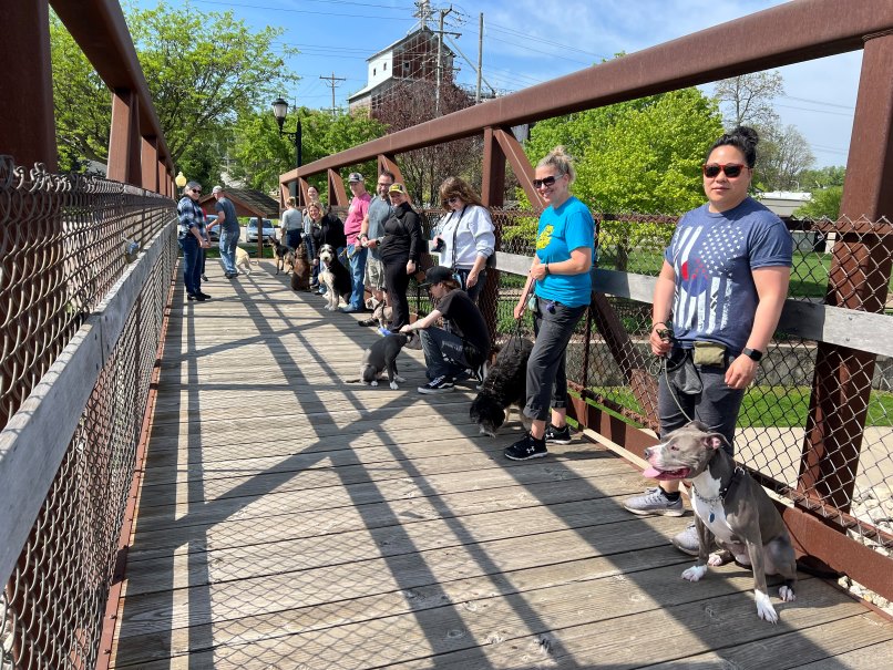 Group-Dog-Training-with-a-bunch-of-people-and-happy-dogs