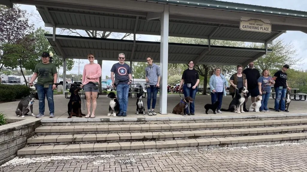 Group Training With Training That Lasts To Help Improve Your Dogs Behavior.