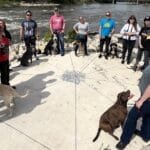 Training-Your-Dog-in-Yorkville-and-kane-county-Illinois