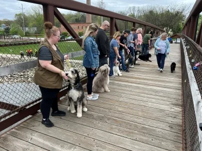 Dog Handlers On A Bridge Over River Doing Training In A Group