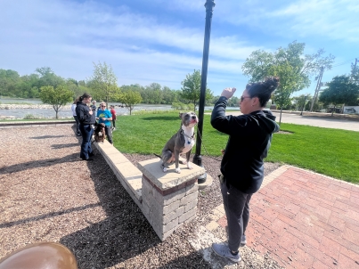 Group-Training-for-Dogs-of-all-ages-and-breeds-doing-excercise-with-handler