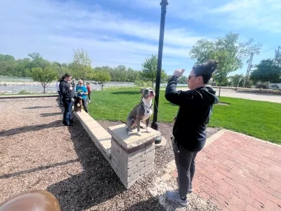 How To Properly Socialize Your Dog - Training That Lasts Dog Training A Woman Standing On A Brick Pillar With A Dog On It