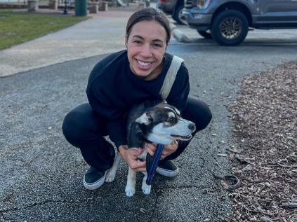 Group-Dog-Training-With-Training-That-LASTS-and-a-mixed-husky-and-pomeranian