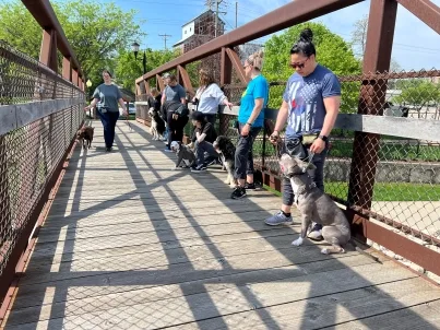 A Group Of People With Dogs On A Bridge