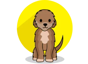 Picture Of Training That Lasts