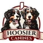 Hoosier Canines Bernedoodle Puppies