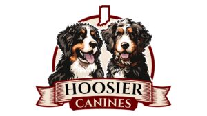 Trained Bernedoodles Puppies from Hoosier Canines