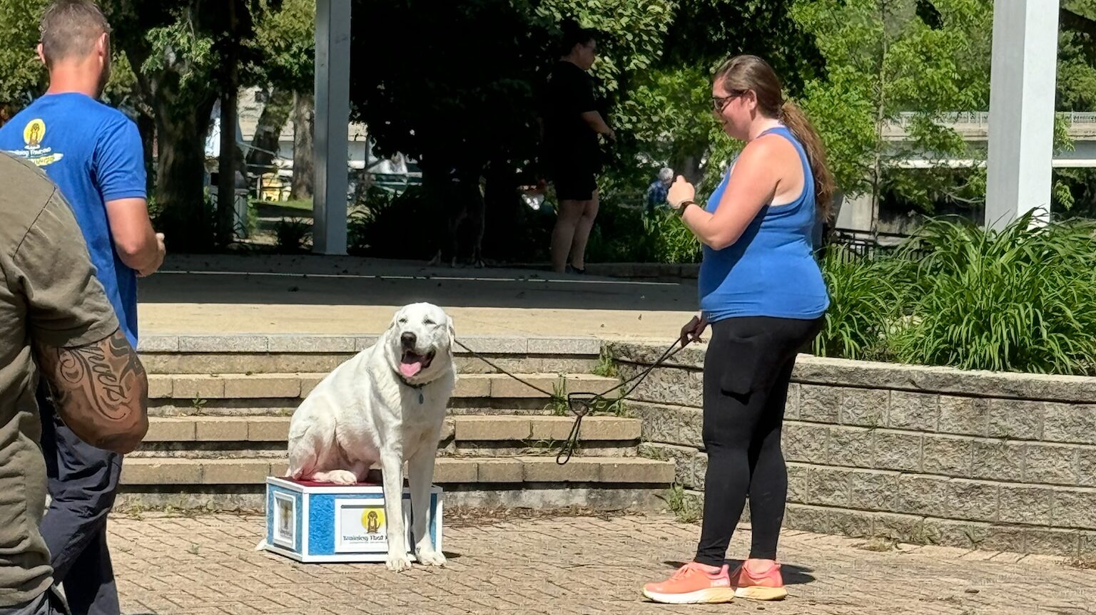 -Dog-Smiling-at-community-dog-training-event-in-oswego-illinois