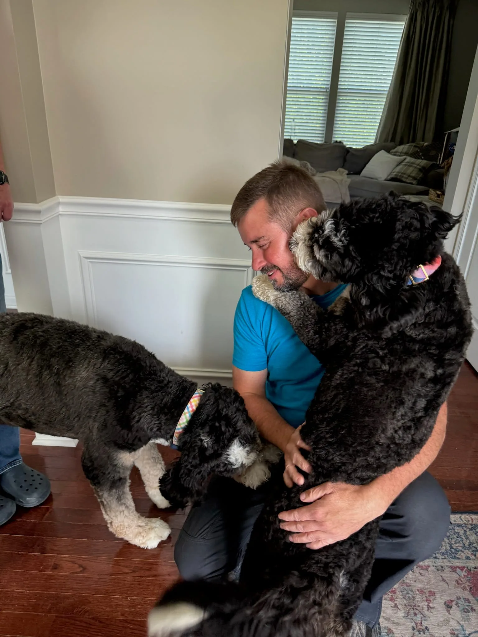 Tyler The Trainer Training That Lasts Structured Walk Session Oswego Il