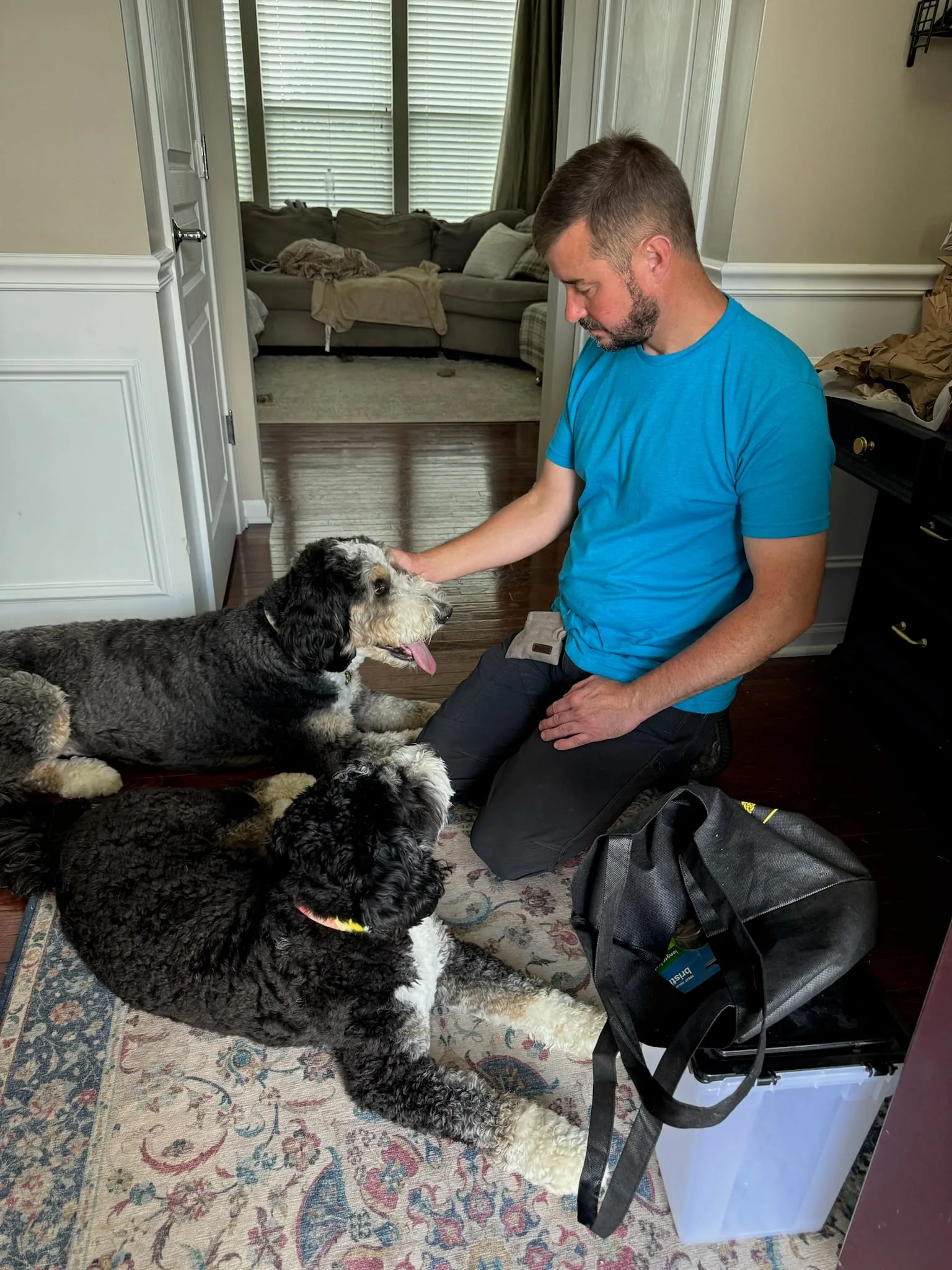 Dog Learning Loose Leash Walking With Training That Lasts In Yorkville Il