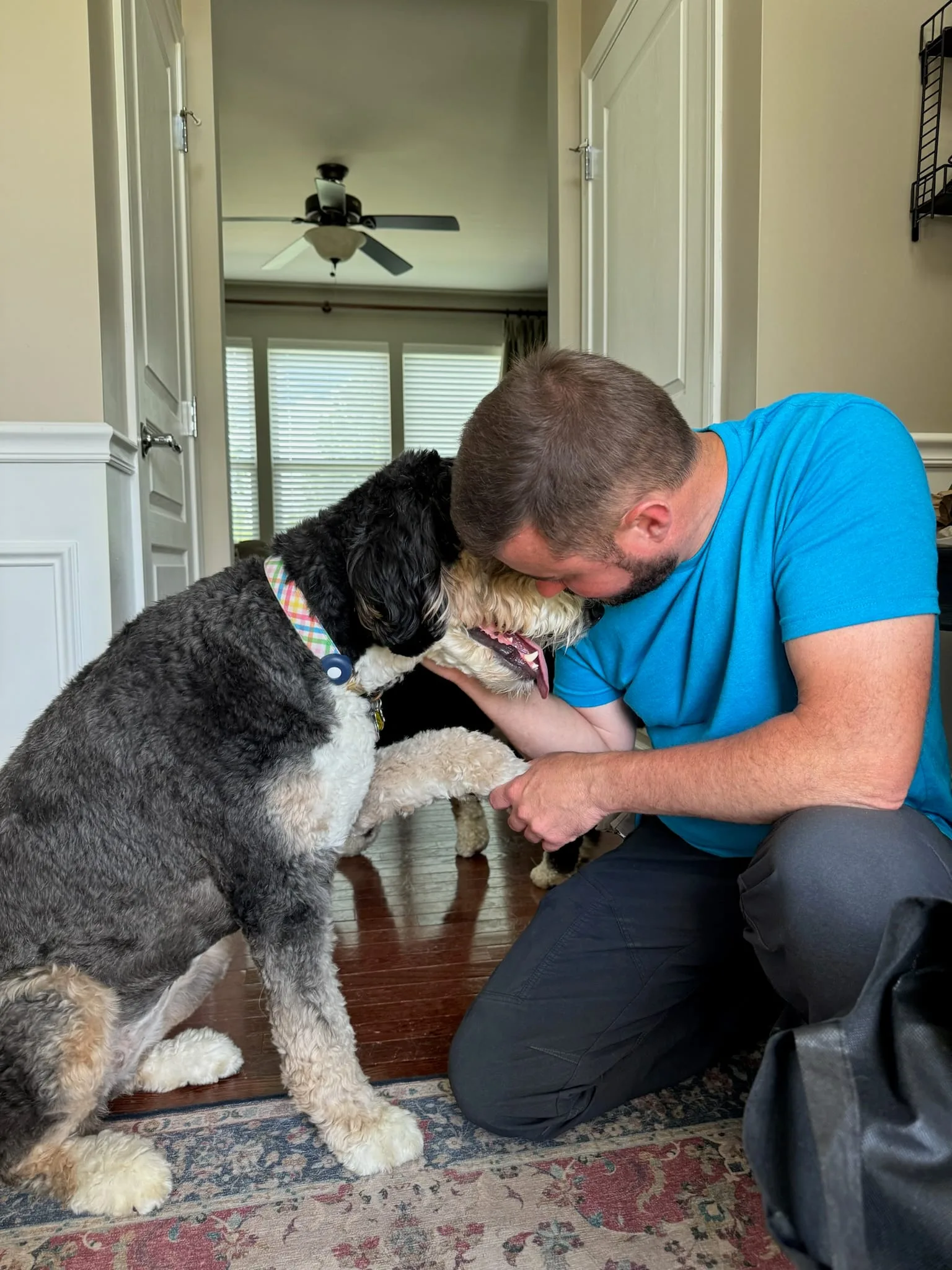 Dog Training Session With Tyler The Trainer Focusing On Leash Manners, Training That Lasts Bristol Il