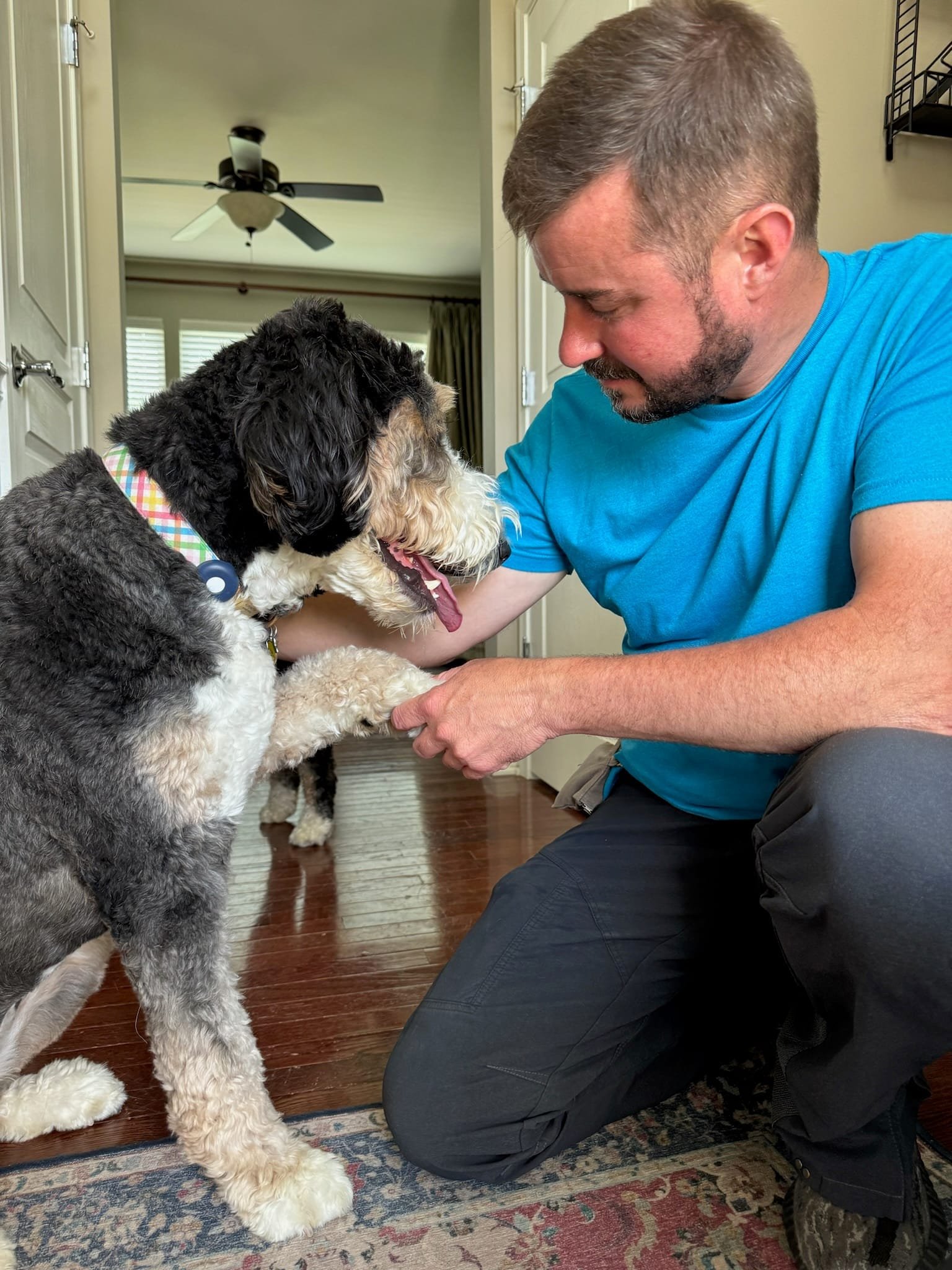 Dog Training In Plainfield