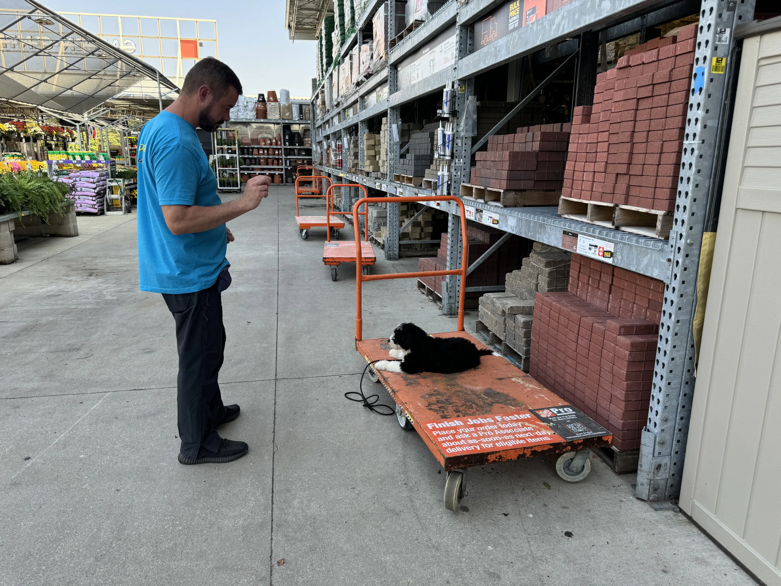 One-on-One Training at home depot with a Bernadoodle puppy