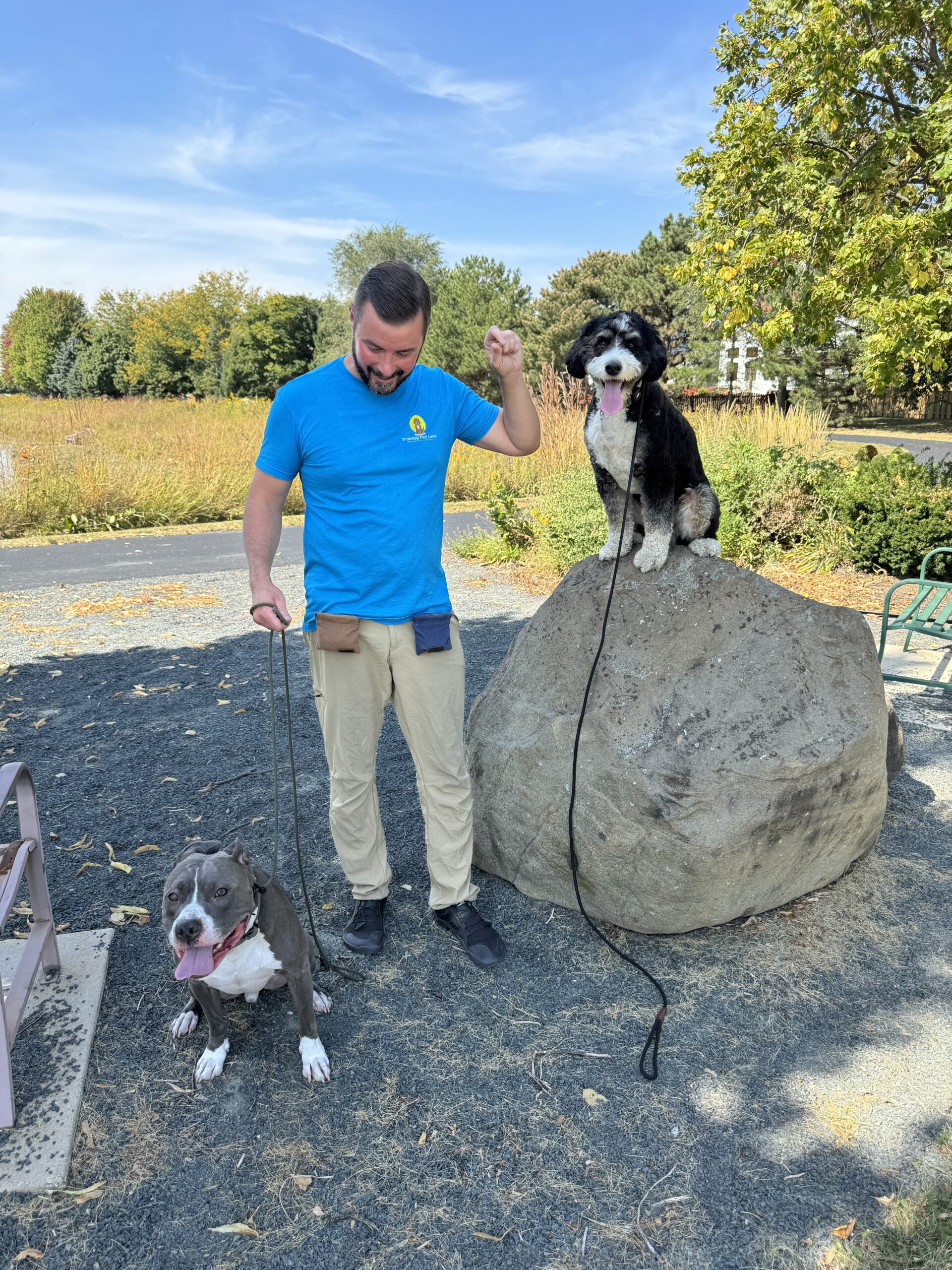 One on One Dog Training with a Pitbull and Bernadoodle