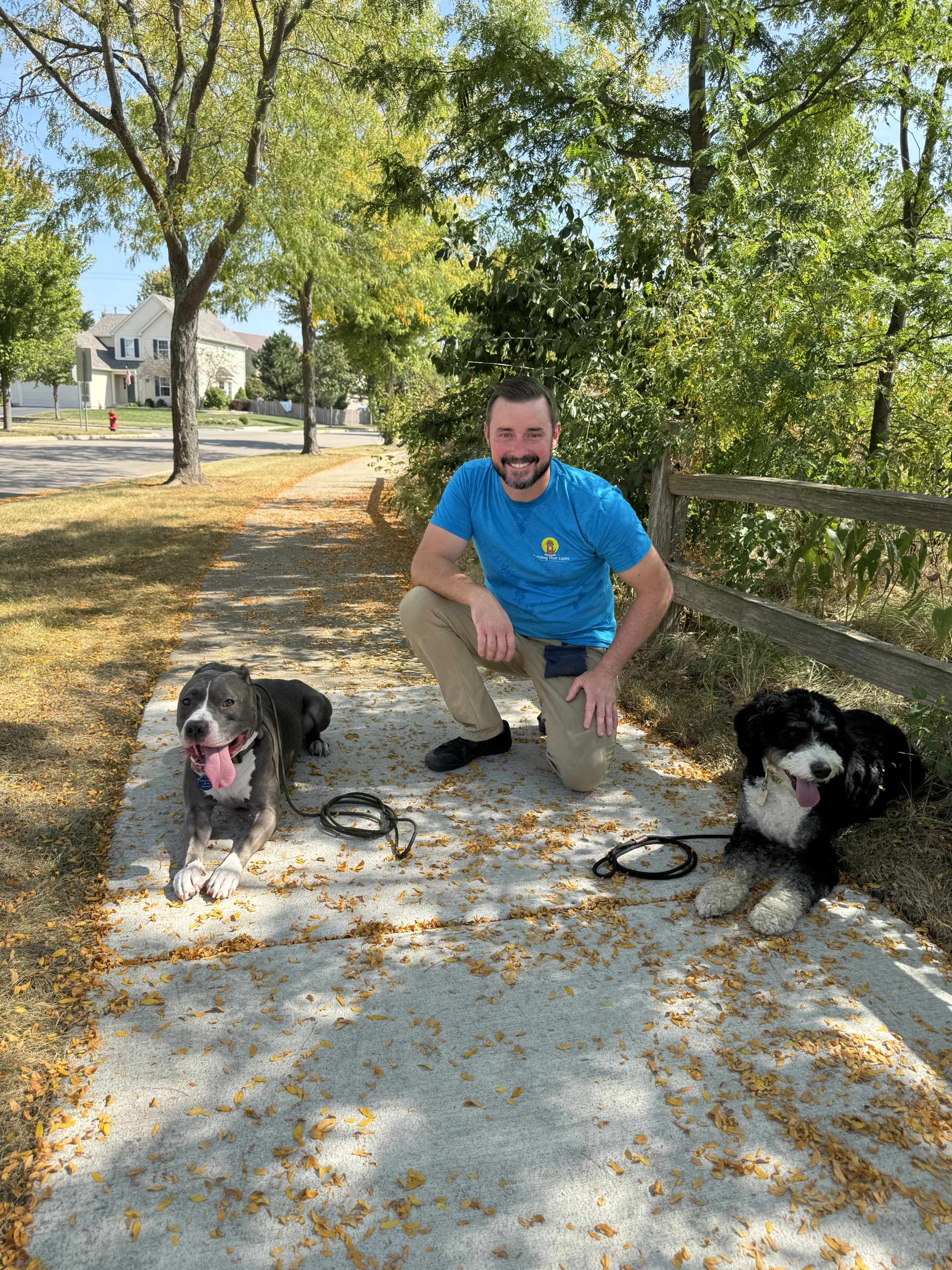 Dog Training Services in Naperville, Yorkville, Plainfield and Yorkville with Training That Lasts