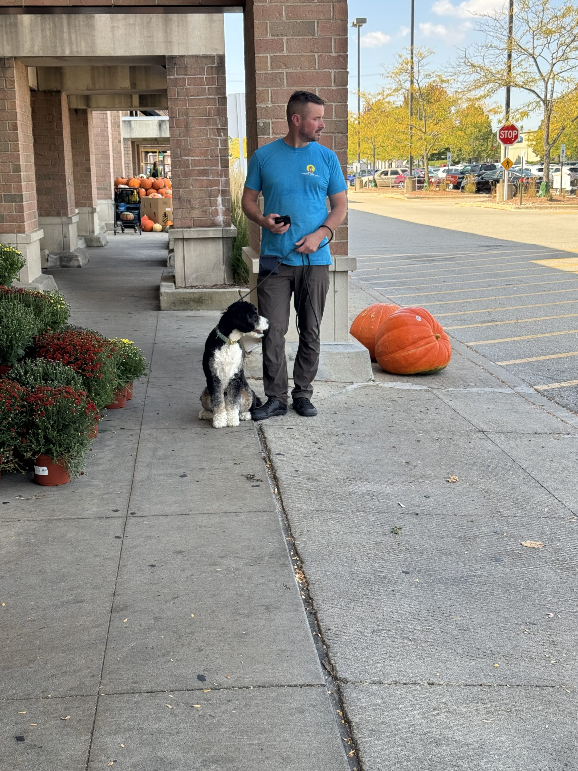 Dog Trainer Standing Next To A Dog Working On Basic Commands Like Sit And Stay.