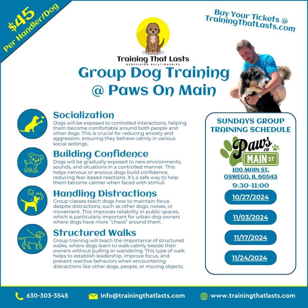 Group Training Program for Dogs at Paw On Main in Oswego