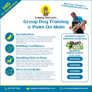 Group Dog Training in Oswego on November 24th