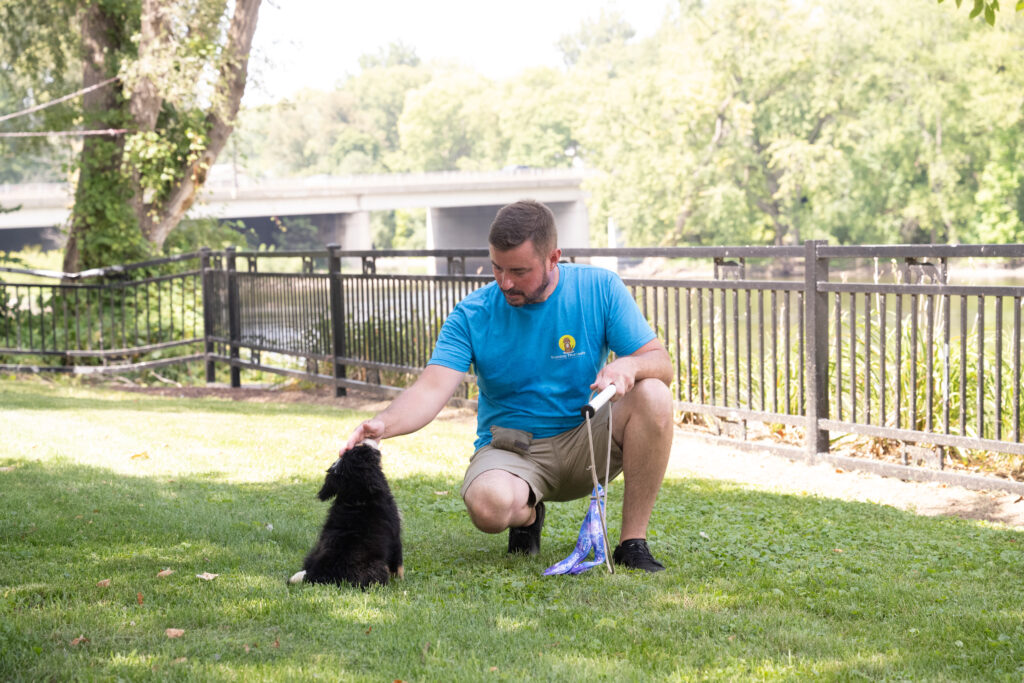 Tyler Morrick of Training That Lasts training a puppy in the park and servicing Naperville and Plainfield