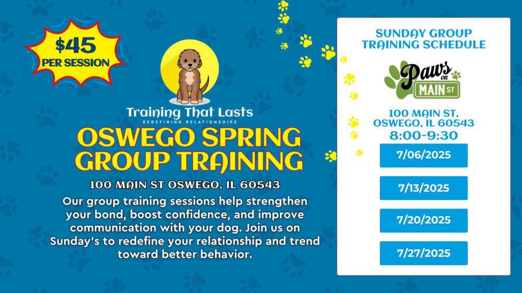 3 1 Wednesday Group Pack Walk | Oswego, Il | July 9Th, 2025