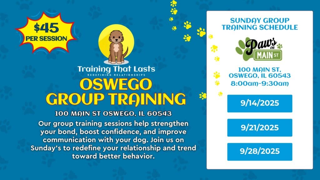 Oswego Group Dog Training In September