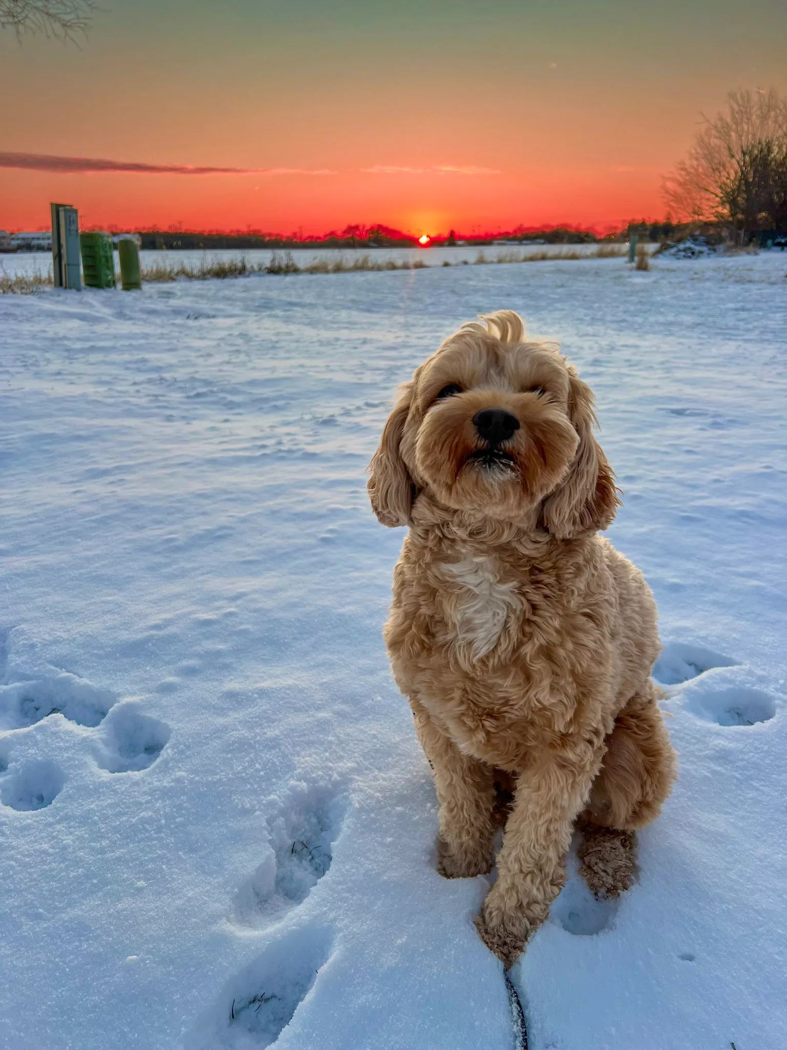 Training-That-Lasts-Sunsets