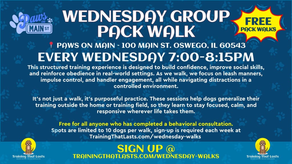 Wednesday Group Pack Walks In Oswego With Tyler The Trainer