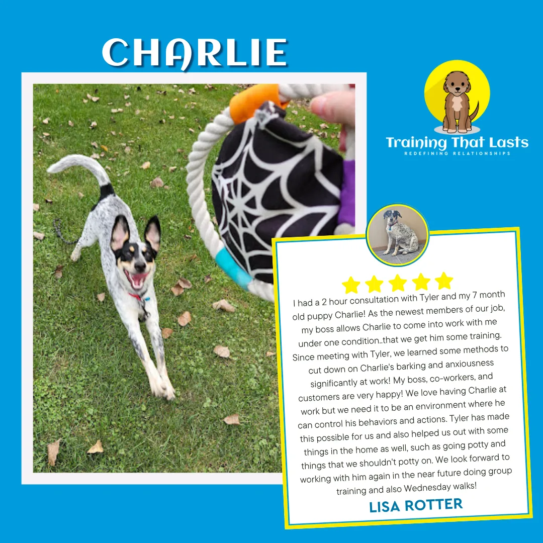 Rescue Partnership Program - Training That Lasts Dog Training Charlie