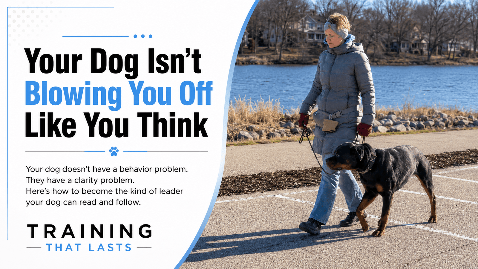 Obedience Training | Professional Dog Training | Training That Lasts