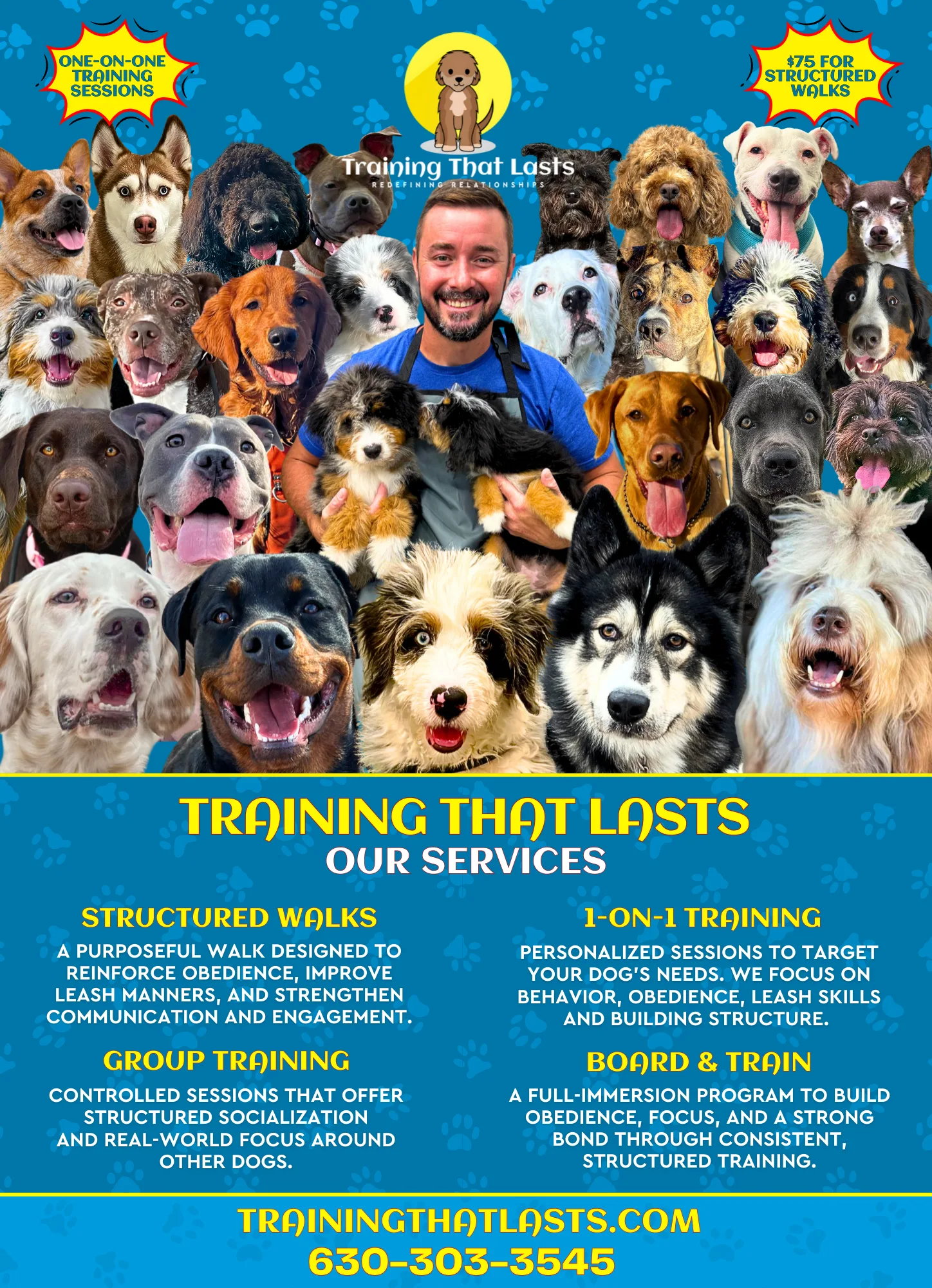 Flyer For A Dog Trainer In Oswego And Yorkville Who Specializes In Dog Behavior And Dog Psychology/