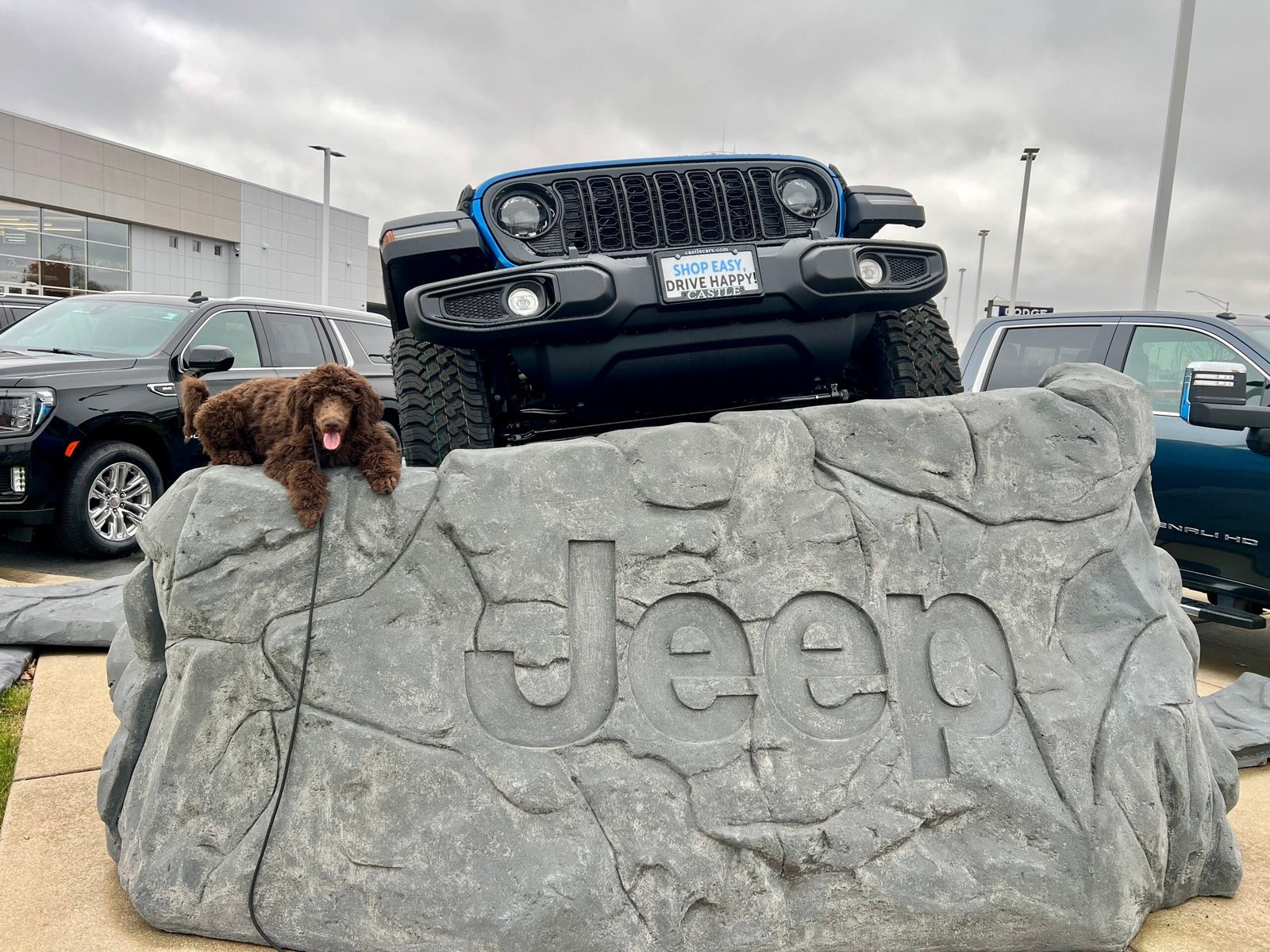 Board And Train | Professional Dog Training | Training That Lasts