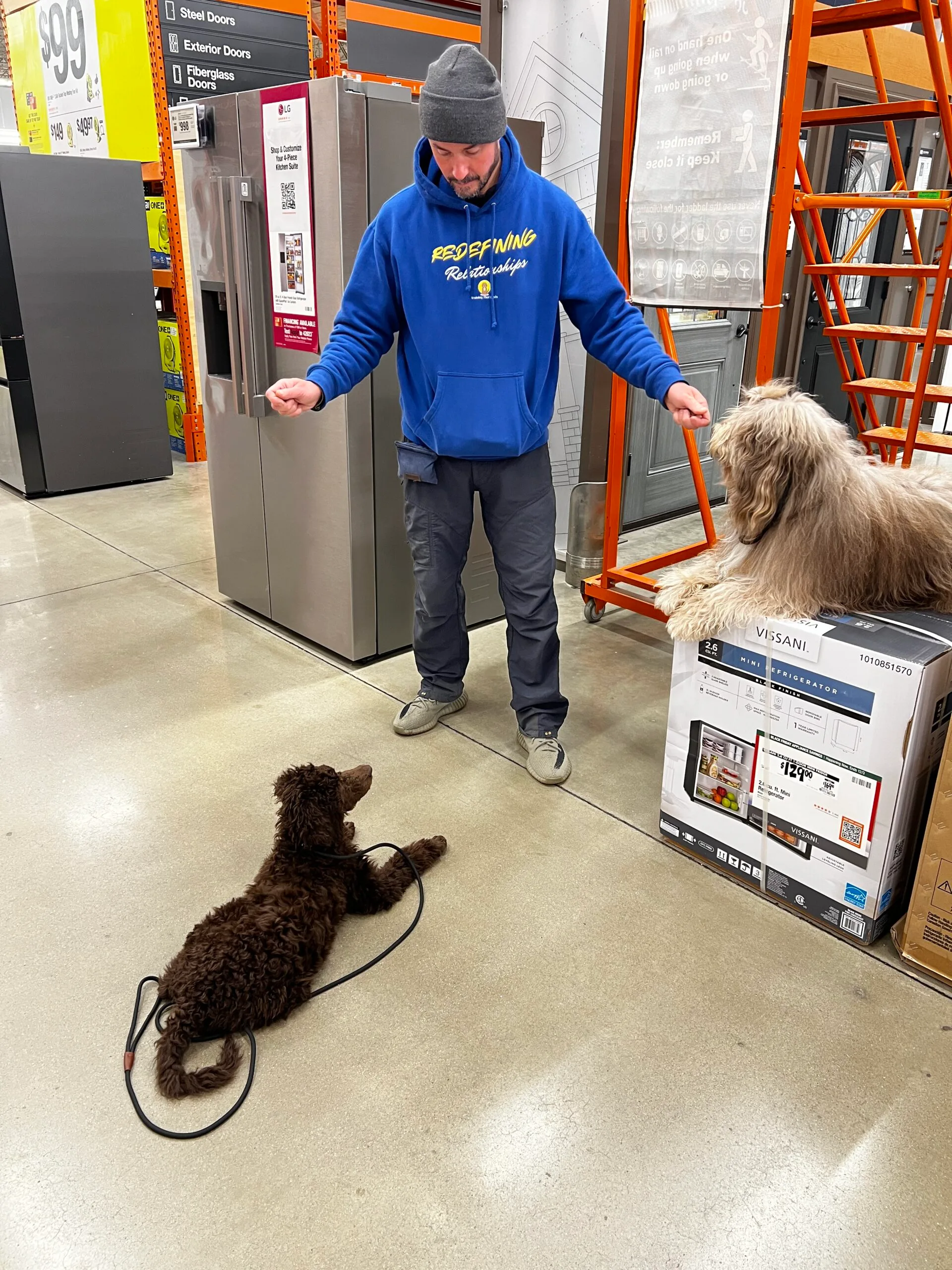 Rescue Partnership Program - Training That Lasts Dog Training Tyler The Trainer Working With Oscar The Dood And Josie The Poodle.