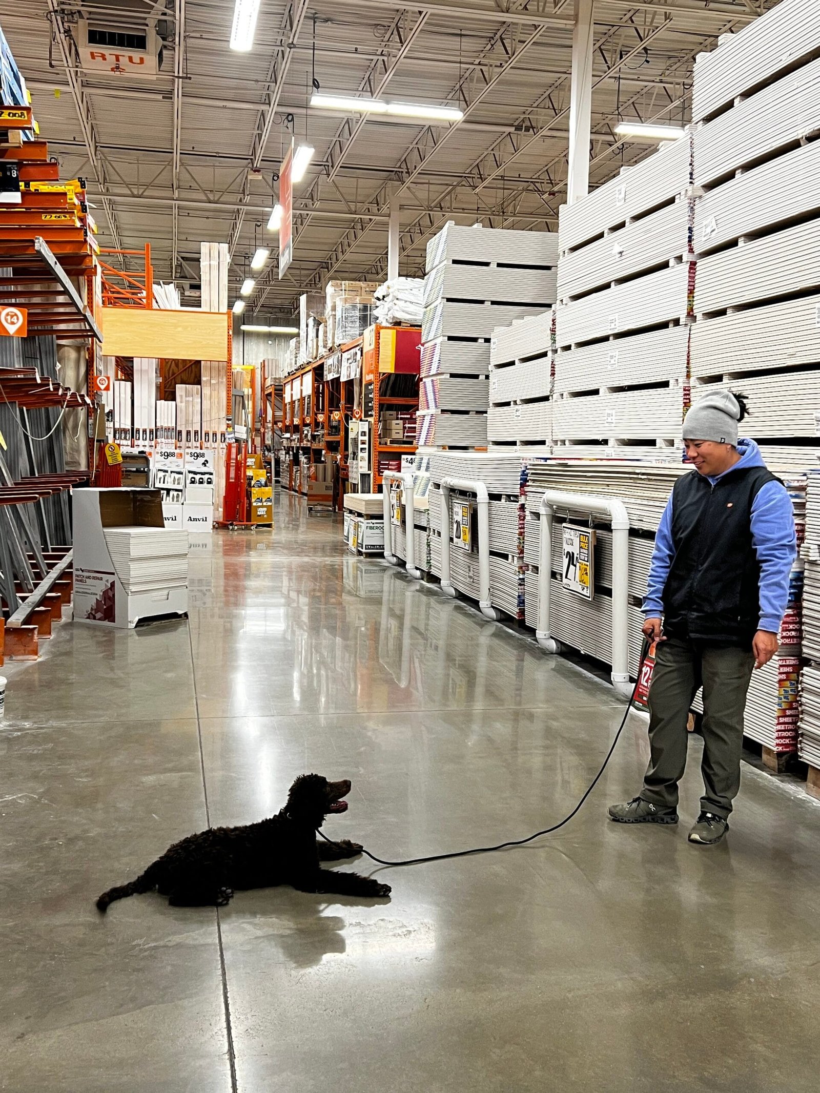 Winter Dog Training Tips