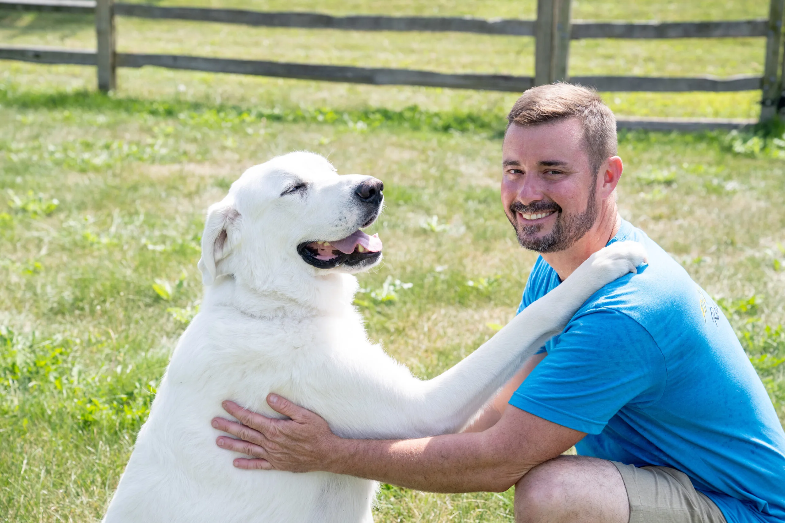 Dog-And-Puppy-Training (24)