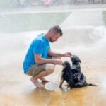 Two Young puppies playing at the park in the water fountain with Tyler The Trainer.