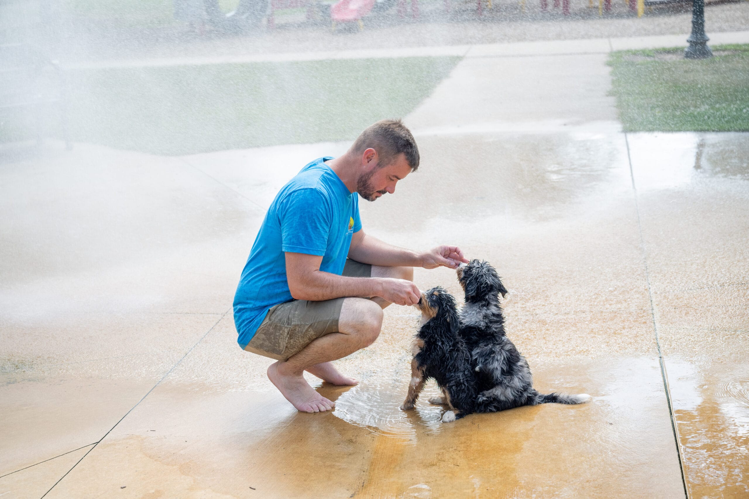 Two Young Puppies Playing At The Park In The Water Fountain With Tyler The Trainer.
