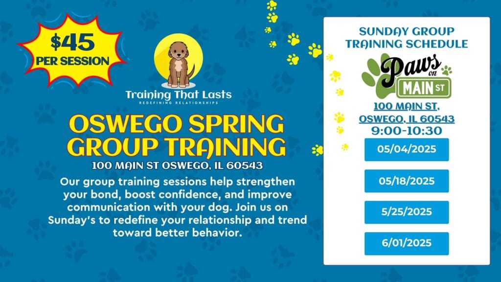 Oswego Group Dog Training Event With Training That Lasts