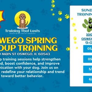 Oswego Group Dog Training Event With Training That Lasts