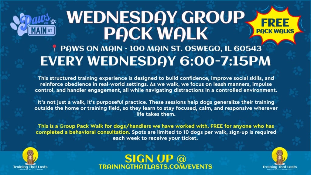 Wednesday Group Pack Walks In Oswego With Tyler The Trainer