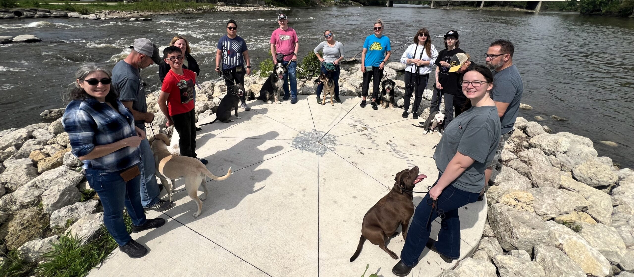 A Group Of People Training Their Dogs At Bicentennial Park In Yorkville