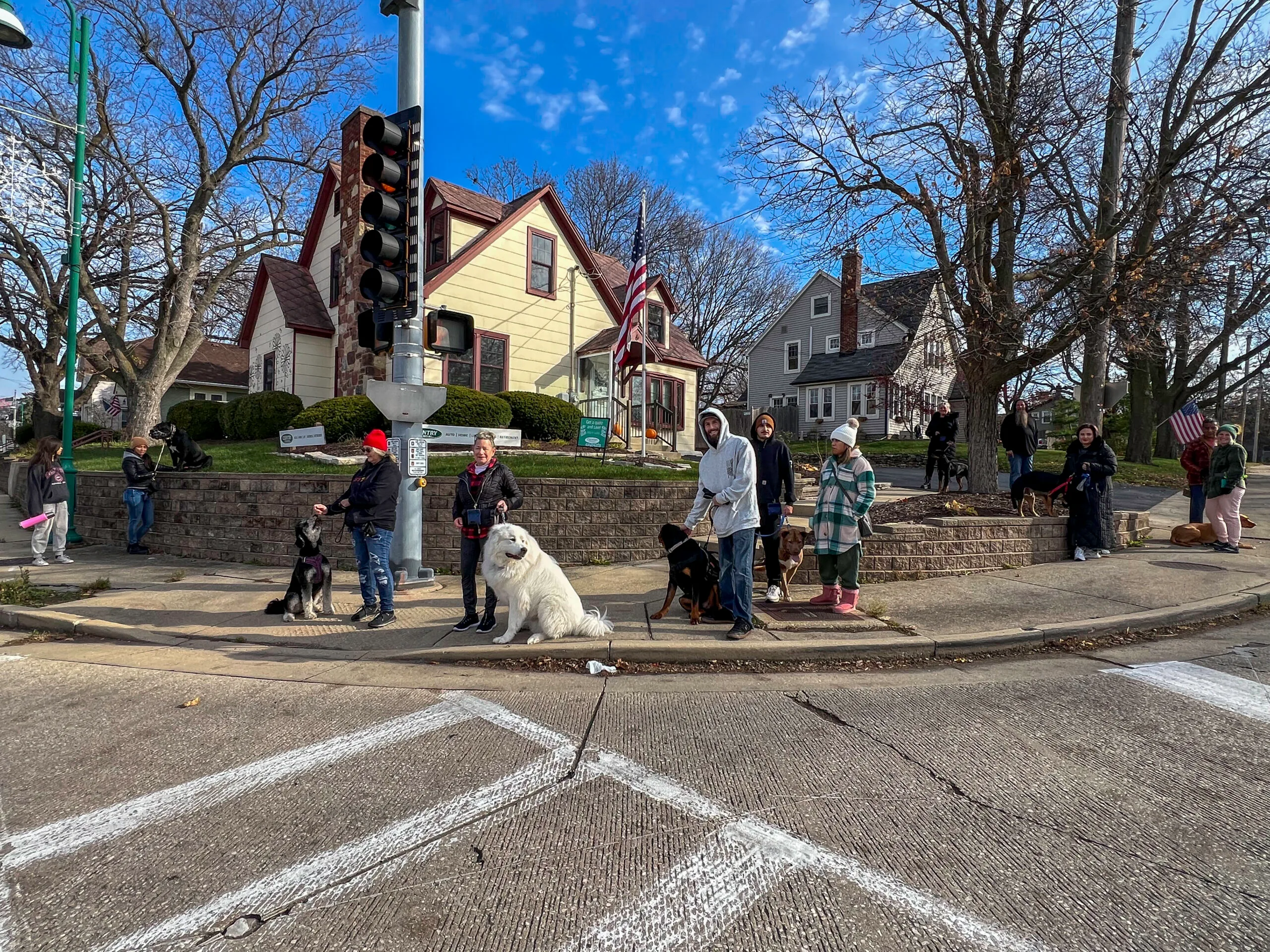 A Group Of People With Dogs On A Street Corner